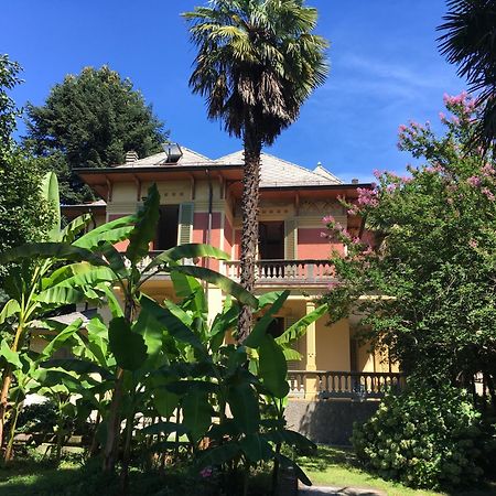 Villa Del Castanar Maccagno Dış mekan fotoğraf