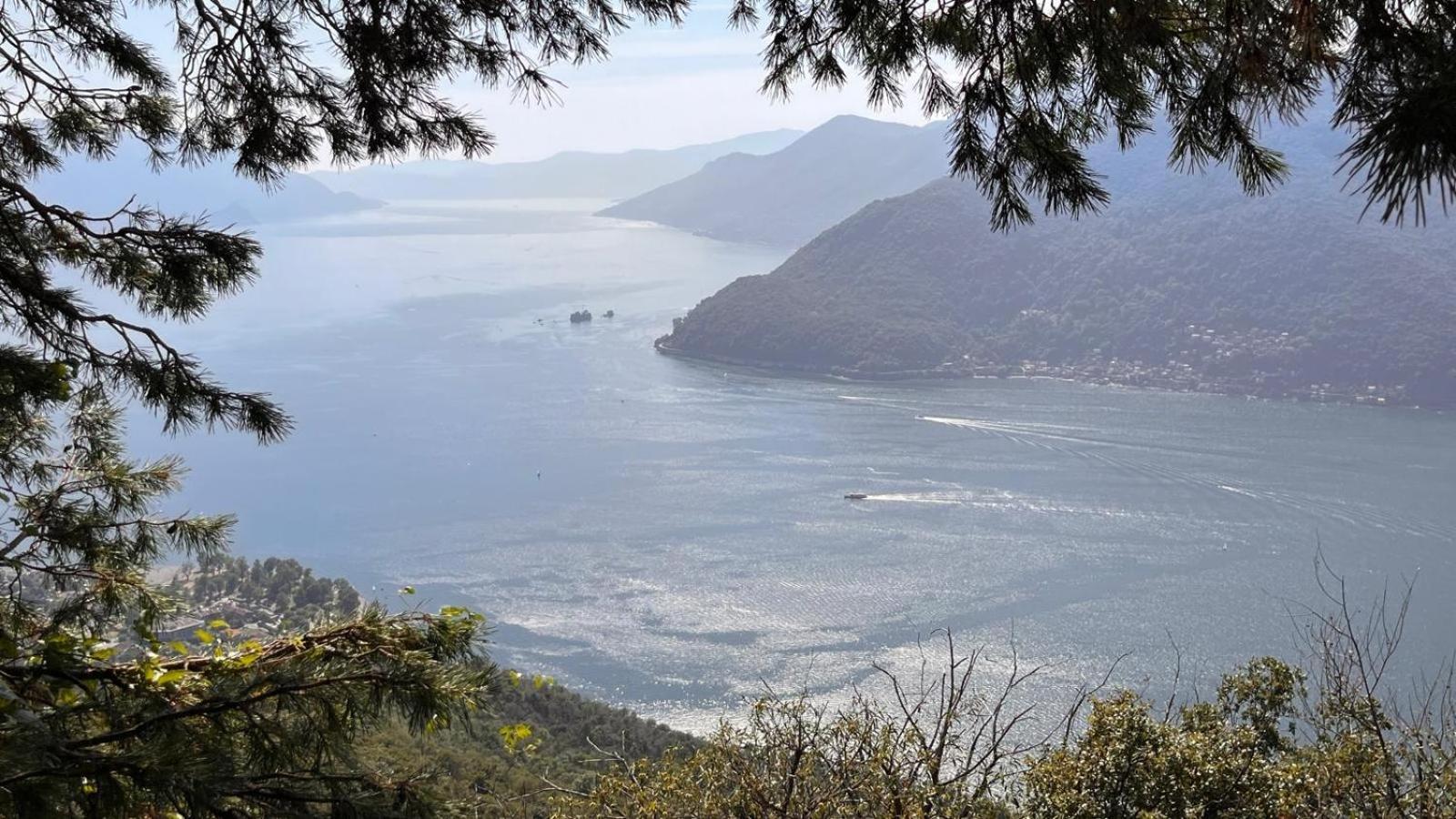 Villa Del Castanar Maccagno Dış mekan fotoğraf