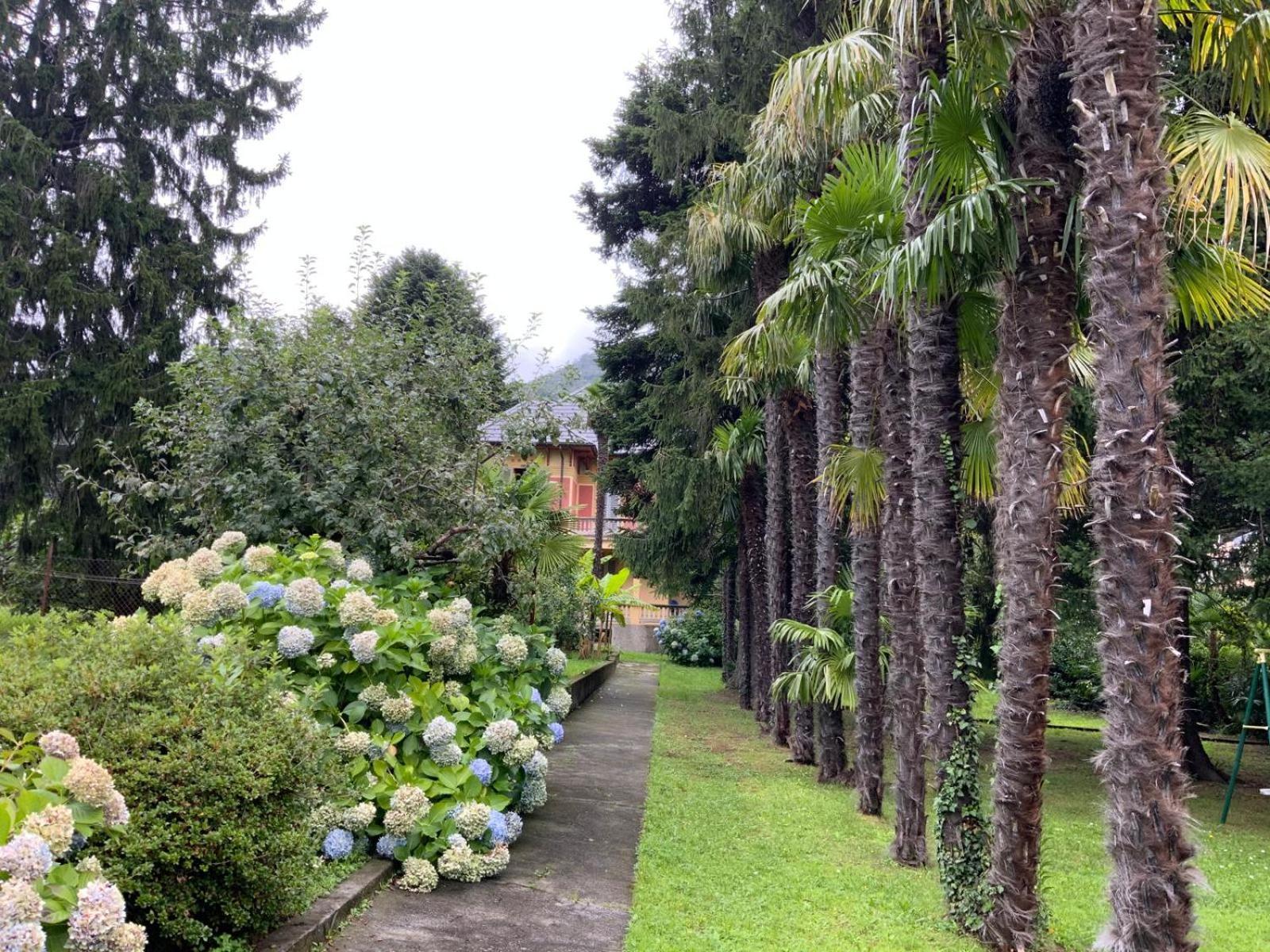 Villa Del Castanar Maccagno Dış mekan fotoğraf