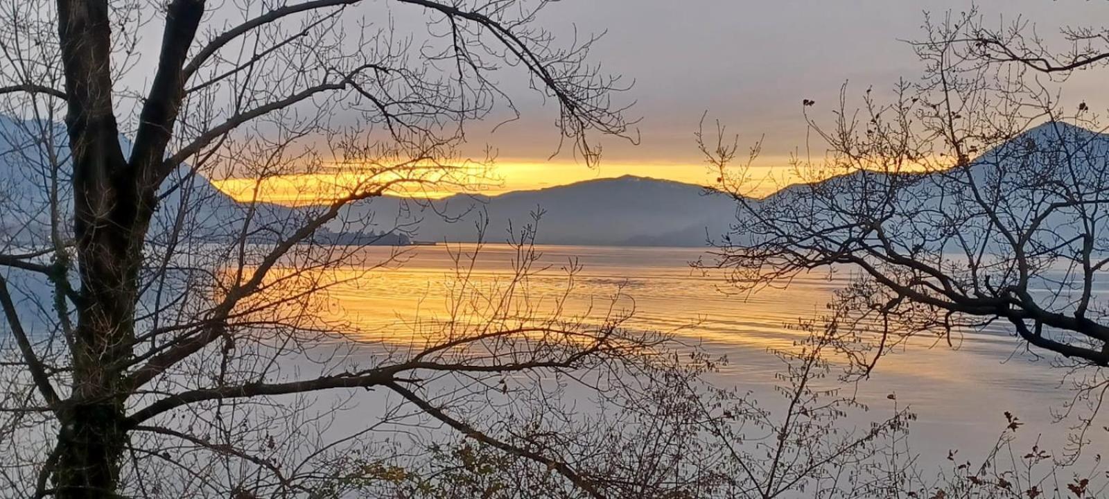 Villa Del Castanar Maccagno Dış mekan fotoğraf