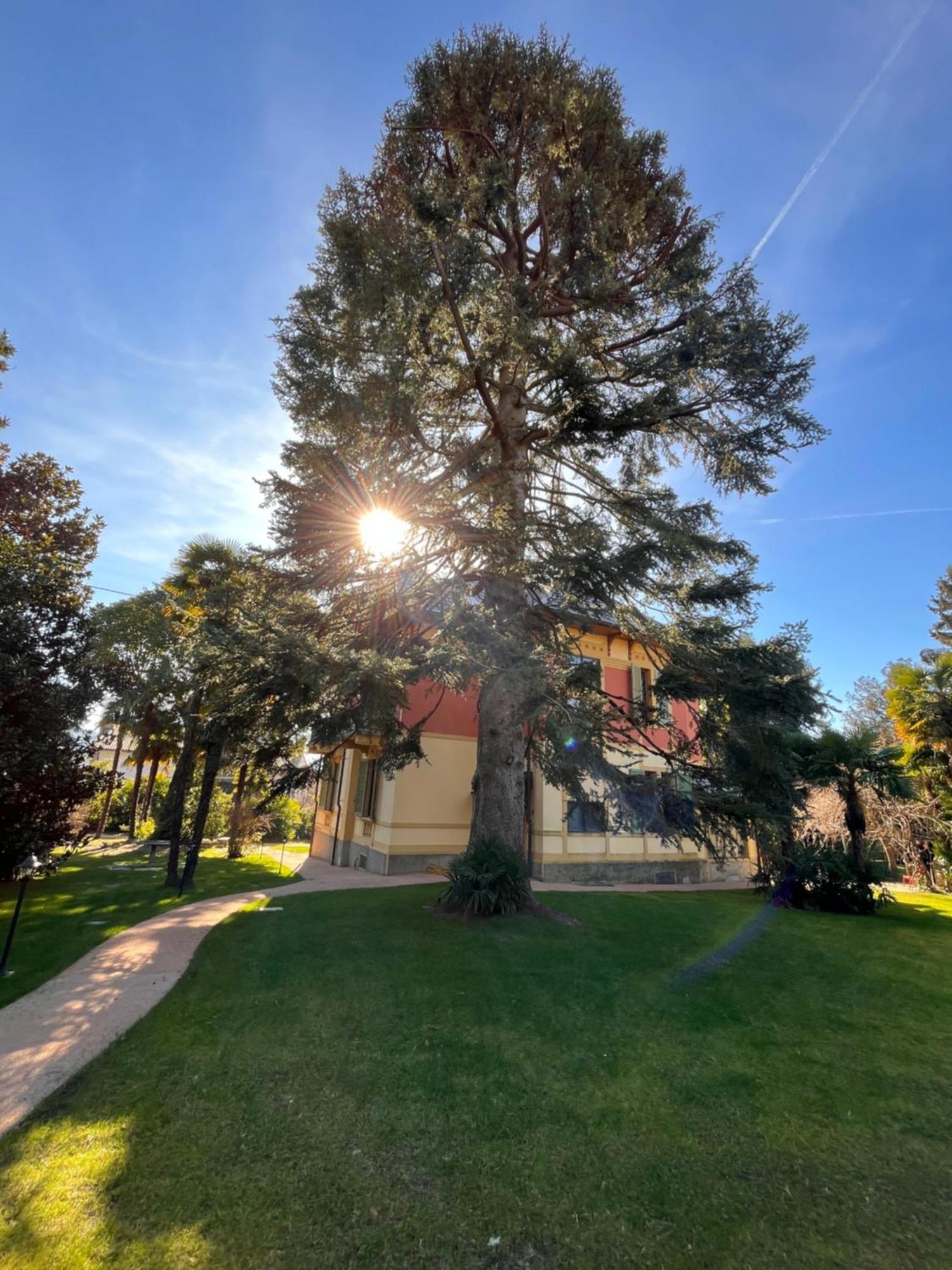 Villa Del Castanar Maccagno Dış mekan fotoğraf