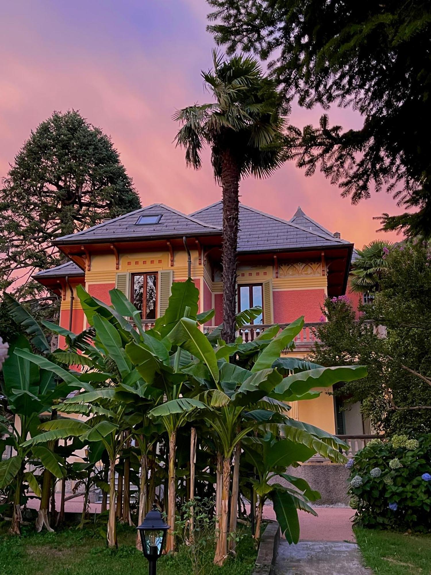 Villa Del Castanar Maccagno Dış mekan fotoğraf
