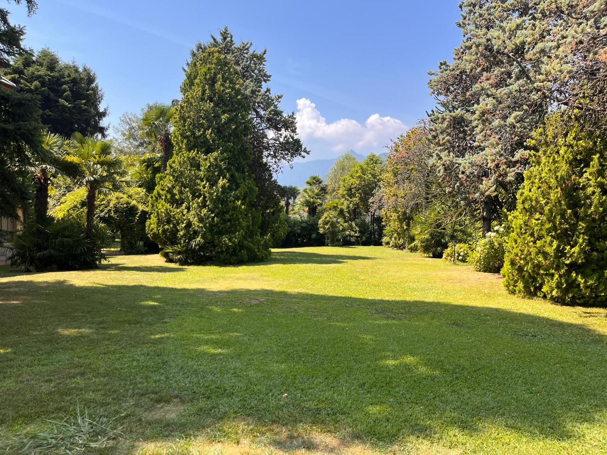 Villa Del Castanar Maccagno Dış mekan fotoğraf