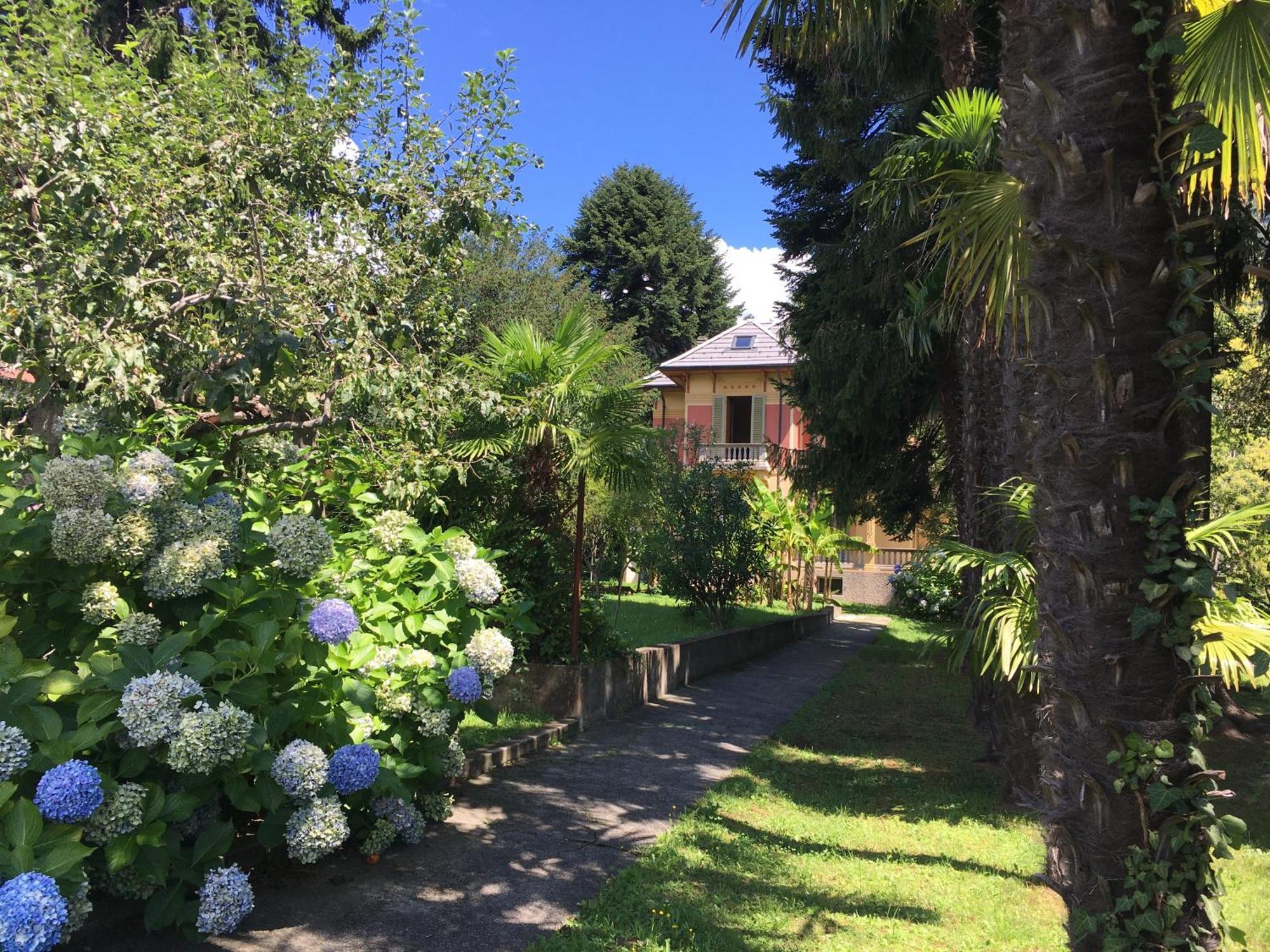 Villa Del Castanar Maccagno Dış mekan fotoğraf